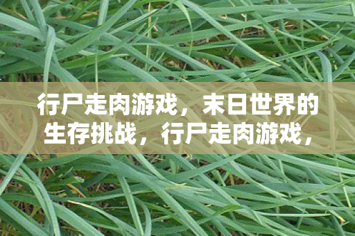 行尸走肉游戏,末日世界的生存挑战,行尸走肉游戏,末日世界的生存挑战之旅 行尸走肉游戏,末日世界的生存挑战,行尸走肉游戏,末日世界的生存挑战之旅