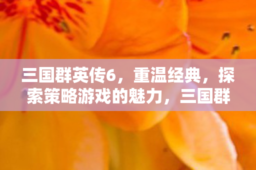 三国群英传6，重温经典，探索策略游戏的魅力，三国群英传6，重温经典，探索策略游戏魅力