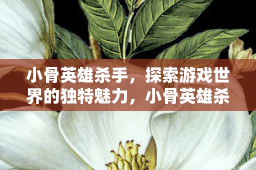 小骨英雄杀手,探索游戏世界的独特魅力,小骨英雄杀手,探索游戏世界的独特魅力 小骨英雄杀手,探索游戏世界的独特魅力,小骨英雄杀手,探索游戏世界的独特魅力