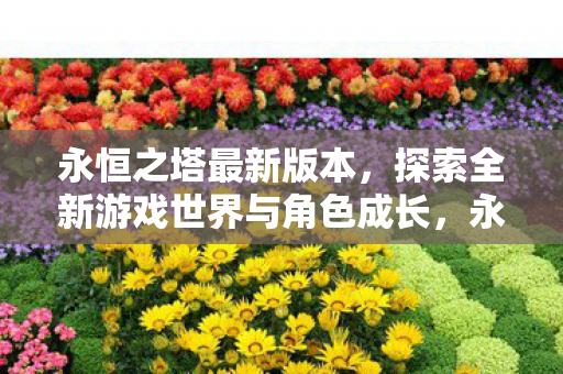探索全新游戏世界与角色成长图片