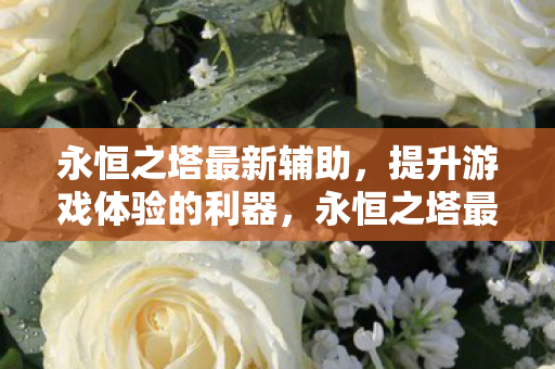 提升游戏体验的利器图片