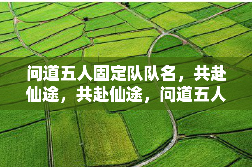 问道五人固定队队名图片