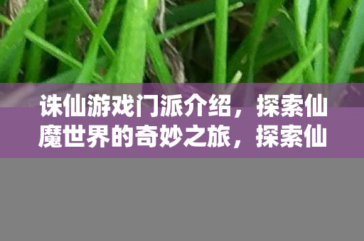 探索仙魔世界的奇妙之旅图片