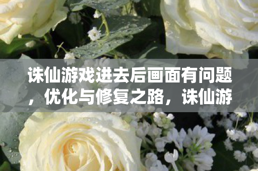 诛仙游戏进去后画面有问题图片