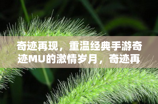 奇迹再现,重温经典手游奇迹MU的激情岁月,奇迹再现,重温经典手游奇迹MU的激情岁月 奇迹再现,重温经典手游奇迹MU的激情岁月,奇迹再现,重温经典手游奇迹MU的激情岁月