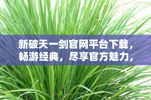 新破天一剑官网平台下载图片