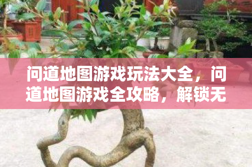 问道地图游戏玩法大全,问道地图游戏全攻略,解锁无限乐趣! 问道地图游戏玩法大全,问道地图游戏全攻略,解锁无限乐趣!