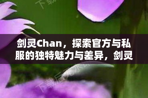 剑灵Chan,探索官方与私服的独特魅力与差异,剑灵Chan探索官方与私服,独特魅力与差异 剑灵Chan,探索官方与私服的独特魅力与差异,剑灵Chan探索官方与私服,独特魅力与差异