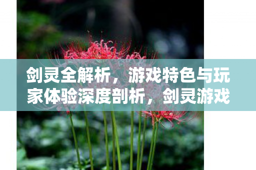 剑灵全解析，游戏特色与玩家体验深度剖析，剑灵游戏特色与玩家体验深度剖析