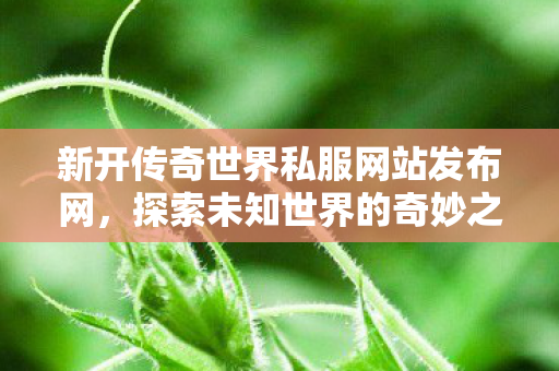 新开传奇世界私服网站发布网图片