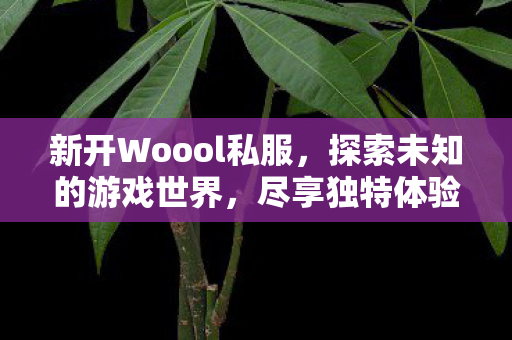 新开Woool私服,探索未知的游戏世界,尽享独特体验,Woool私服开启,探索未知游戏世界,尽享独特游戏体验 新开Woool私服,探索未知的游戏世界,尽享独特体验,Woool私服开启,探索未知游戏世界,尽享独特游戏体验