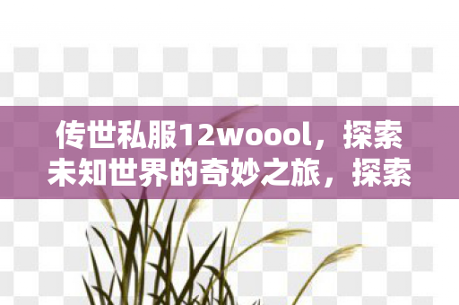 传世私服12woool,探索未知世界的奇妙之旅,探索传世私服12woool,开启未知世界的奇妙之旅 传世私服12woool,探索未知世界的奇妙之旅,探索传世私服12woool,开启未知世界的奇妙之旅