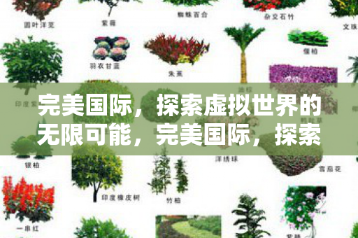 完美国际,探索虚拟世界的无限可能,完美国际,探索虚拟世界的无限可能 完美国际,探索虚拟世界的无限可能,完美国际,探索虚拟世界的无限可能