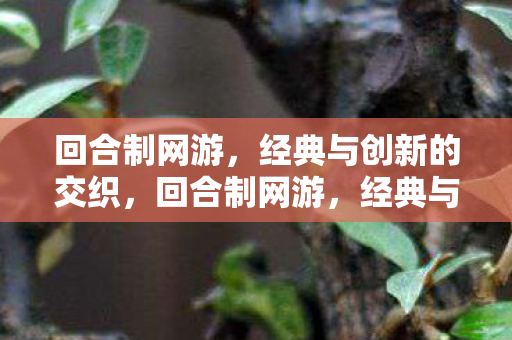回合制网游,经典与创新的交织,回合制网游,经典与创新交织的奇妙世界 回合制网游,经典与创新的交织,回合制网游,经典与创新交织的奇妙世界