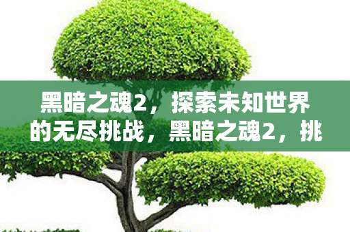 黑暗之魂2,探索未知世界的无尽挑战,黑暗之魂2,挑战未知世界的无尽冒险之旅 黑暗之魂2,探索未知世界的无尽挑战,黑暗之魂2,挑战未知世界的无尽冒险之旅