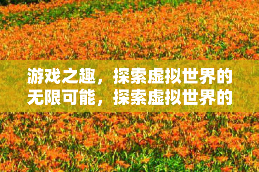 游戏之趣，探索虚拟世界的无限可能，探索虚拟世界的无限可能，游戏之趣