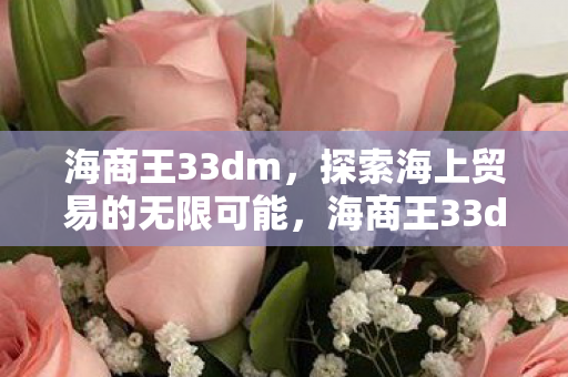 海商王33dm,探索海上贸易的无限可能,海商王33dm,探索海上贸易的无限可能 海商王33dm,探索海上贸易的无限可能,海商王33dm,探索海上贸易的无限可能