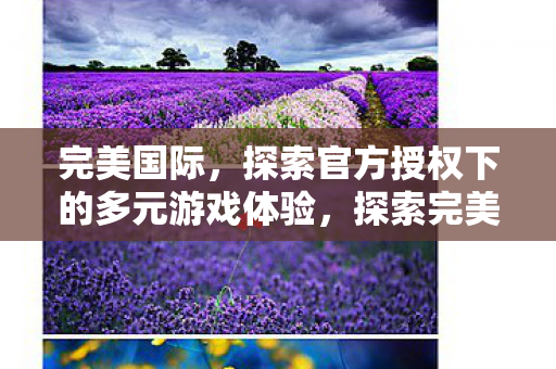 完美国际,探索官方授权下的多元游戏体验,探索完美国际,多元游戏体验官方授权 完美国际,探索官方授权下的多元游戏体验,探索完美国际,多元游戏体验官方授权