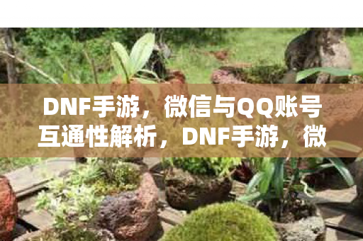 微信与QQ账号互通性全解析图片