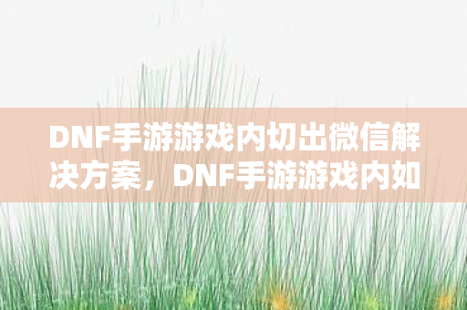 DNF手游游戏内切出微信解决方案图片