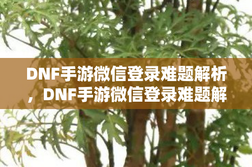 DNF手游微信登录难题解析图片