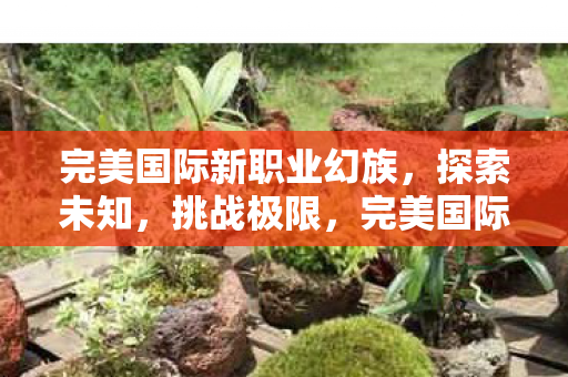 完美国际新职业幻族,探索未知,挑战极限,完美国际新职业幻族,探索未知,挑战极限 完美国际新职业幻族,探索未知,挑战极限,完美国际新职业幻族,探索未知,挑战极限