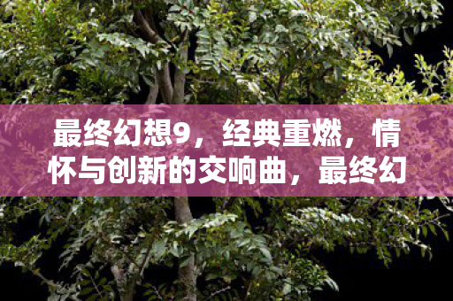 最终幻想9，经典重燃，情怀与创新的交响曲，最终幻想9经典重燃，情怀与创新的交响曲