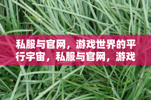 私服与官网,游戏世界的平行宇宙,私服与官网,游戏世界的平行宇宙 私服与官网,游戏世界的平行宇宙,私服与官网,游戏世界的平行宇宙