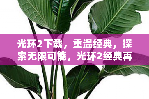 光环2下载,重温经典,探索无限可能,光环2经典再现,探索无限可能 光环2下载,重温经典,探索无限可能,光环2经典再现,探索无限可能