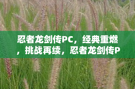 忍者龙剑传PC,经典重燃,挑战再续,忍者龙剑传PC经典重燃,挑战再续 忍者龙剑传PC,经典重燃,挑战再续,忍者龙剑传PC经典重燃,挑战再续