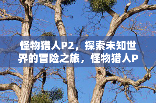 怪物猎人P2,探索未知世界的冒险之旅,怪物猎人P2,探索未知世界的冒险之旅 怪物猎人P2,探索未知世界的冒险之旅,怪物猎人P2,探索未知世界的冒险之旅