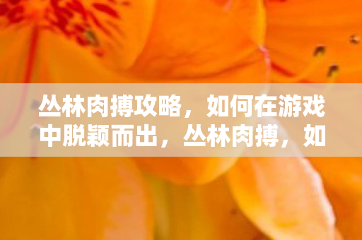 丛林肉搏攻略,如何在游戏中脱颖而出,丛林肉搏,如何成为游戏高手的攻略 丛林肉搏攻略,如何在游戏中脱颖而出,丛林肉搏,如何成为游戏高手的攻略