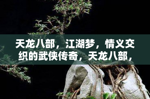 天龙八部,江湖梦,情义交织的武侠传奇,天龙八部,情义交织的武侠江湖梦 天龙八部,江湖梦,情义交织的武侠传奇,天龙八部,情义交织的武侠江湖梦