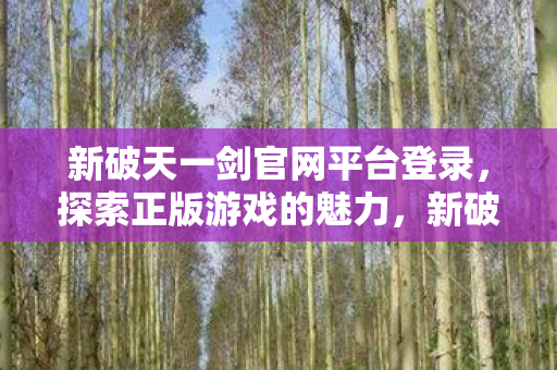 新破天一剑官网平台登录图片