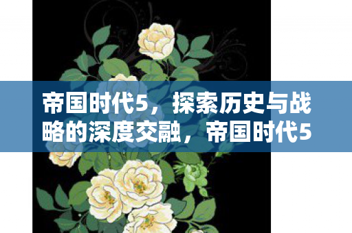 帝国时代5,探索历史与战略的深度交融,帝国时代5,历史与战略的深度交融之旅 帝国时代5,探索历史与战略的深度交融,帝国时代5,历史与战略的深度交融之旅