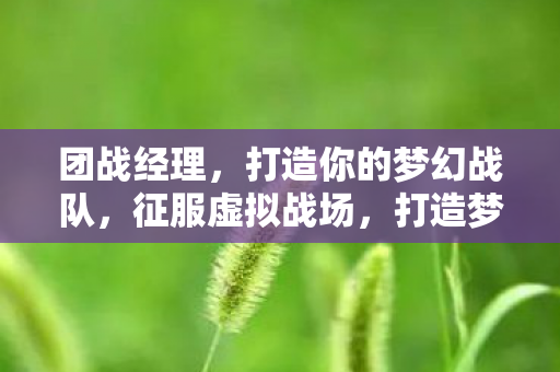 团战经理,打造你的梦幻战队,征服虚拟战场,打造梦幻战队,征服虚拟战场,团战经理助你称霸 团战经理,打造你的梦幻战队,征服虚拟战场,打造梦幻战队,征服虚拟战场,团战经理助你称霸