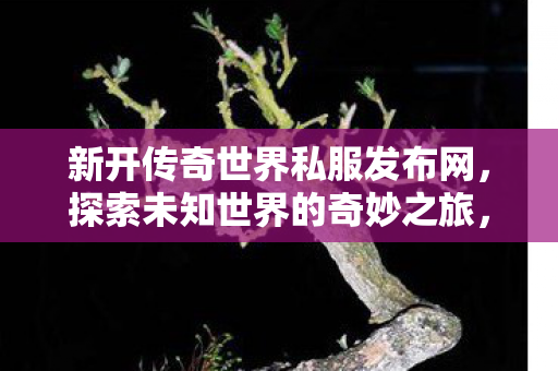 新开传奇世界私服发布网,探索未知世界的奇妙之旅,探索未知世界的奇妙之旅,新开传奇世界私服发布网 新开传奇世界私服发布网,探索未知世界的奇妙之旅,探索未知世界的奇妙之旅,新开传奇世界私服发布网