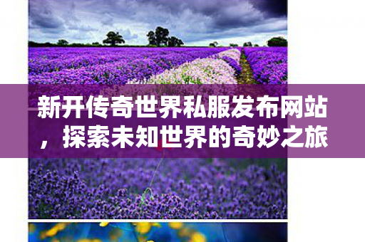 新开传奇世界私服发布网站图片