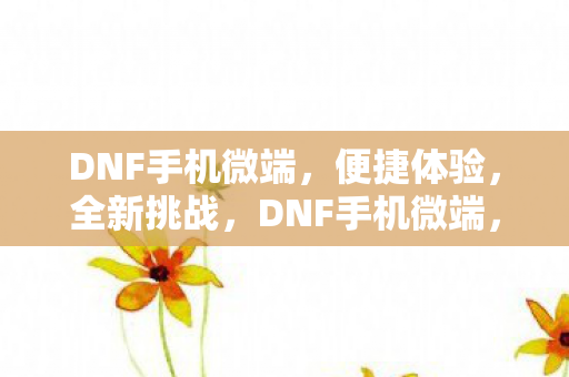 DNF手机微端图片