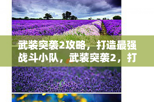 武装突袭2攻略,打造最强战斗小队,武装突袭2,打造最强战斗小队攻略 武装突袭2攻略,打造最强战斗小队,武装突袭2,打造最强战斗小队攻略