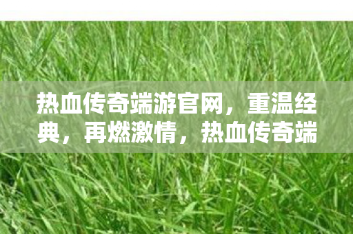 热血传奇端游官网,重温经典,再燃激情,热血传奇端游官网,重温经典,再燃激情 热血传奇端游官网,重温经典,再燃激情,热血传奇端游官网,重温经典,再燃激情