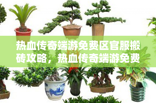 热血传奇端游免费区官服搬砖攻略,热血传奇端游免费区官服搬砖攻略,打造财富之路 热血传奇端游免费区官服搬砖攻略,热血传奇端游免费区官服搬砖攻略,打造财富之路
