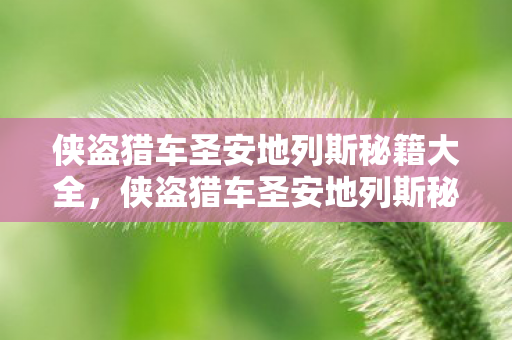 侠盗猎车圣安地列斯秘籍大全,侠盗猎车圣安地列斯秘籍大全 侠盗猎车圣安地列斯秘籍大全,侠盗猎车圣安地列斯秘籍大全