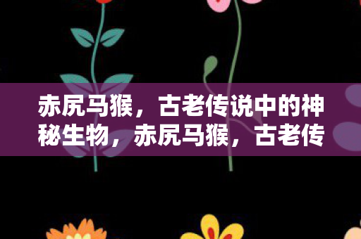 赤尻马猴，古老传说中的神秘生物，赤尻马猴，古老传说中的神秘生物