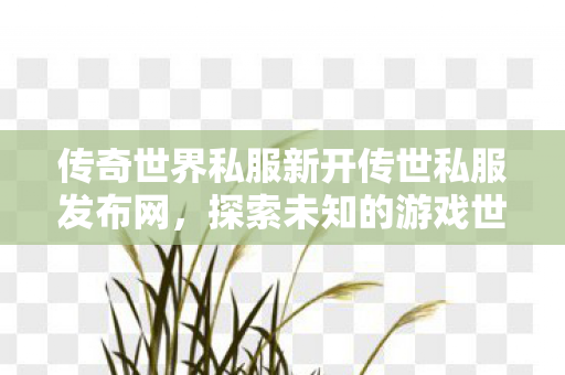 传奇世界私服新开传世私服发布网,探索未知的游戏世界,探索未知游戏世界,传奇世界私服新开传世私服发布网 传奇世界私服新开传世私服发布网,探索未知的游戏世界,探索未知游戏世界,传奇世界私服新开传世私服发布网