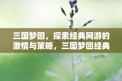 三国梦回,探索经典网游的激情与策略,三国梦回经典网游,激情与策略的探索之旅 三国梦回,探索经典网游的激情与策略,三国梦回经典网游,激情与策略的探索之旅