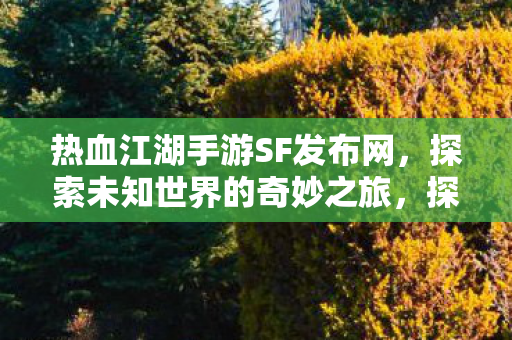 热血江湖手游SF发布网，探索未知世界的奇妙之旅，探索热血江湖手游SF的奇妙之旅