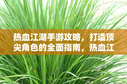 热血江湖手游攻略,打造顶尖角色的全面指南,热血江湖手游,打造顶尖角色全面攻略 热血江湖手游攻略,打造顶尖角色的全面指南,热血江湖手游,打造顶尖角色全面攻略