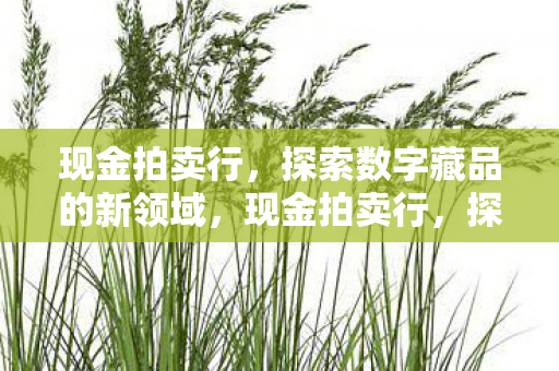 现金拍卖行,探索数字藏品的新领域,现金拍卖行,探索数字藏品新领域 现金拍卖行,探索数字藏品的新领域,现金拍卖行,探索数字藏品新领域