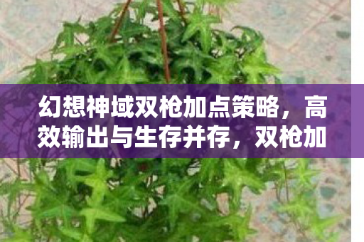幻想神域双枪加点策略,高效输出与生存并存,双枪加点策略,高效输出与生存并存的幻想神域 幻想神域双枪加点策略,高效输出与生存并存,双枪加点策略,高效输出与生存并存的幻想神域